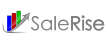 SaleRise - Driving No-code Revolution